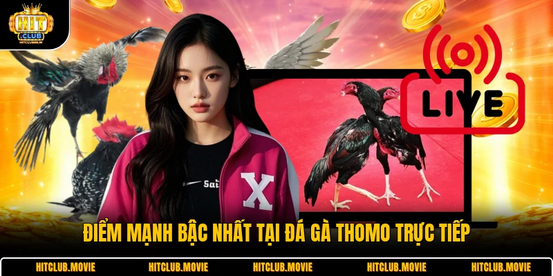 Điểm mạnh bậc nhất tại đá gà thomo trực tiếp